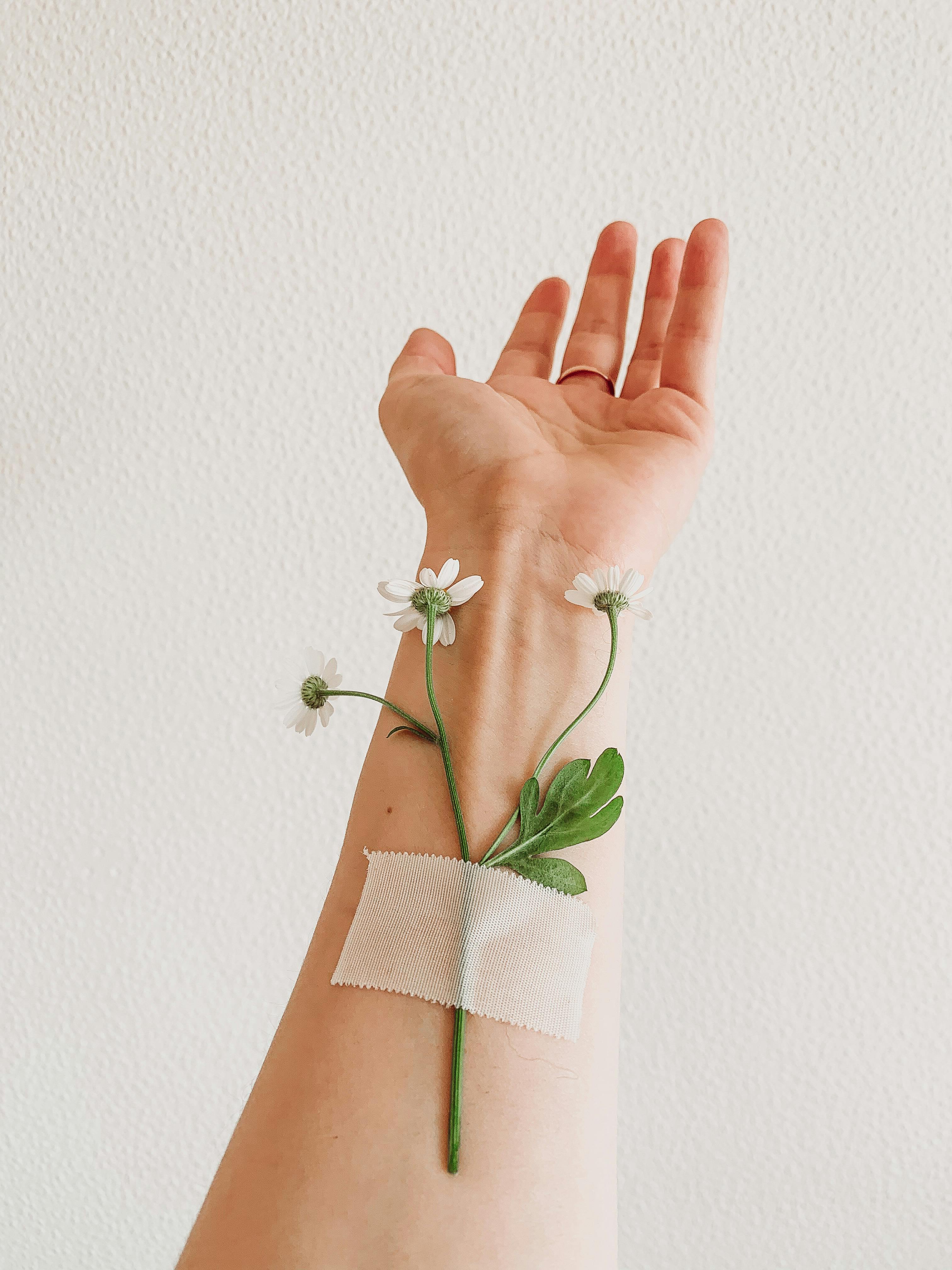 Clinician examining a slow-healing wound on a patient